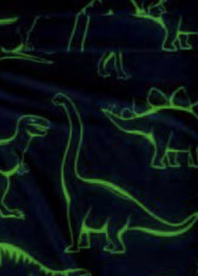 Cobertor ligero Dinosaurios - Imagen 3